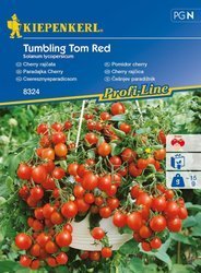 Pomidor cherry Tumbling Tom Red Kiepenkerl