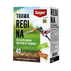 Regina 1 kg nasiona trawy do uzupełniania ubytków w trawniku