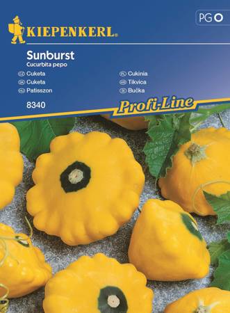 Cukinia Sunburst Cucurbita pepo