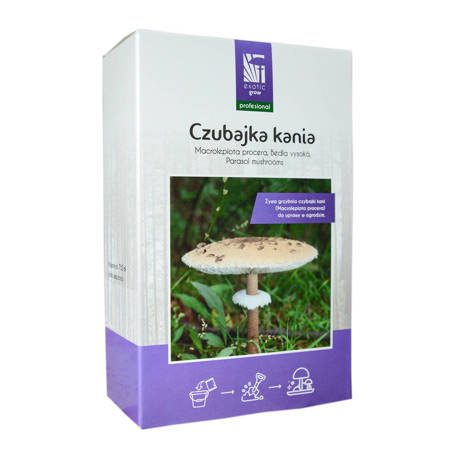 Grzybnia do ogrodu – Czubajka Kania – 750 ml Exotic Grow