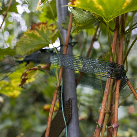 Taśma do Podwiązywania Roślin  3 cm x 50 m