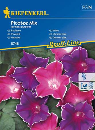 Wilec Picotee Mix Ipomoea purpurea